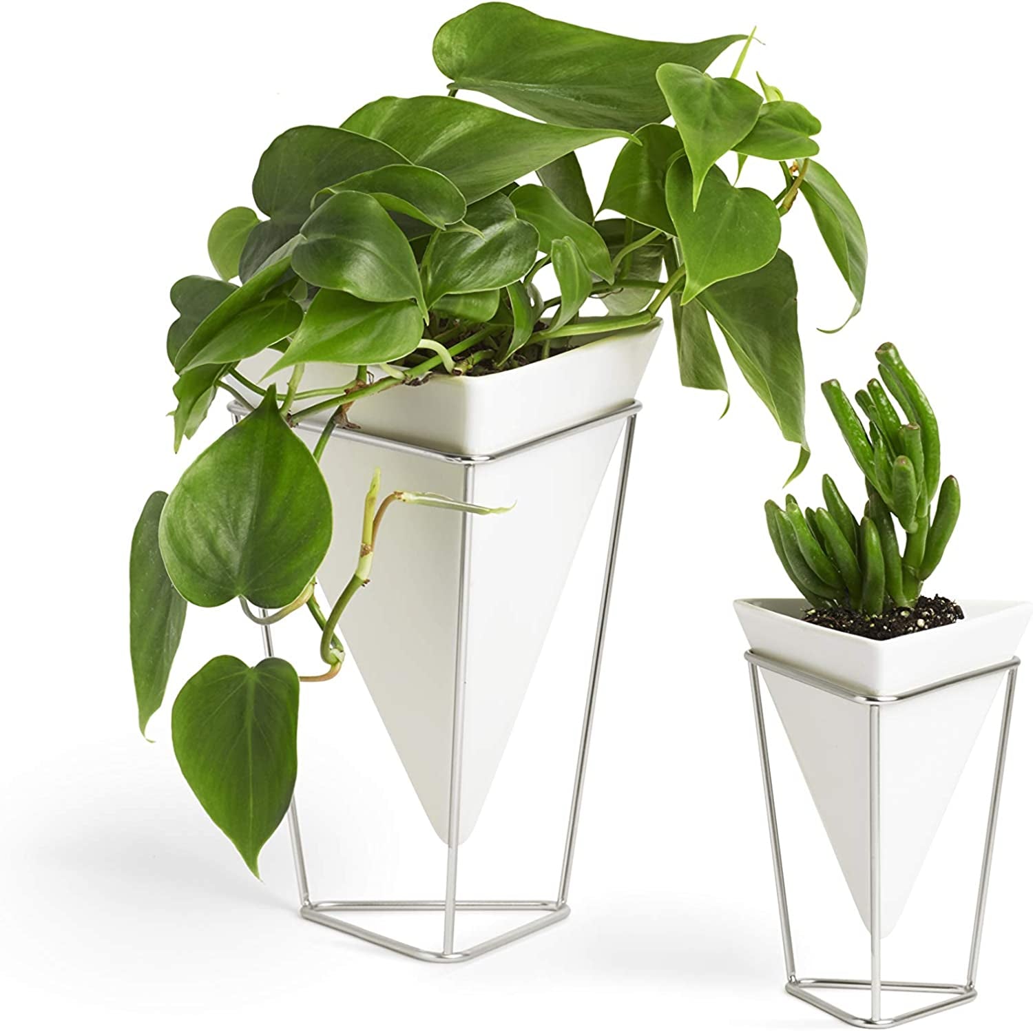 Modern Trigg Desktop Planter Set - Stylish Geometric Ceramic Vases for Succulents, Air Plants, and Mini Cacti - White and Nickel Finish, Set of 2