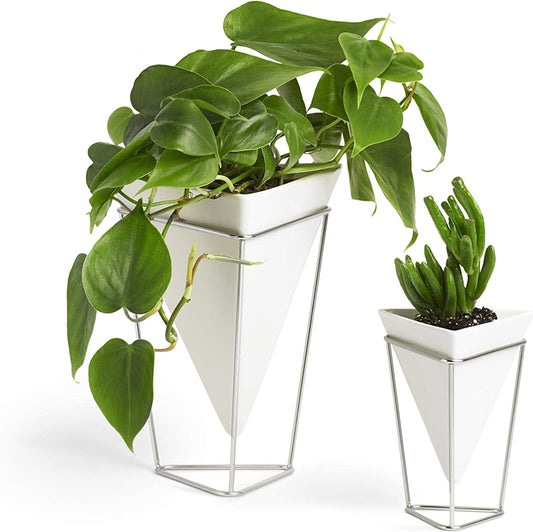 Modern Trigg Desktop Planter Set - Stylish Geometric Ceramic Vases for Succulents, Air Plants, and Mini Cacti - White and Nickel Finish, Set of 2